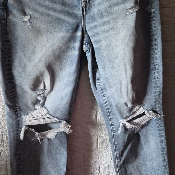 Stylish Light Blue Distressed Women mom Jeans - Picture 3 of 10